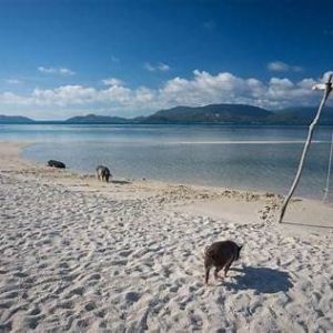 Excursion Privée Snorkeling – Koh Tan & Koh Mudsum (Pig Island)