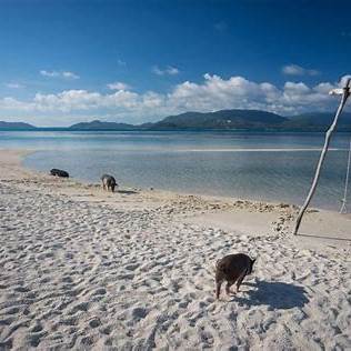 Excursion Privée Snorkeling – Koh Tan & Koh Mudsum (Pig Island)